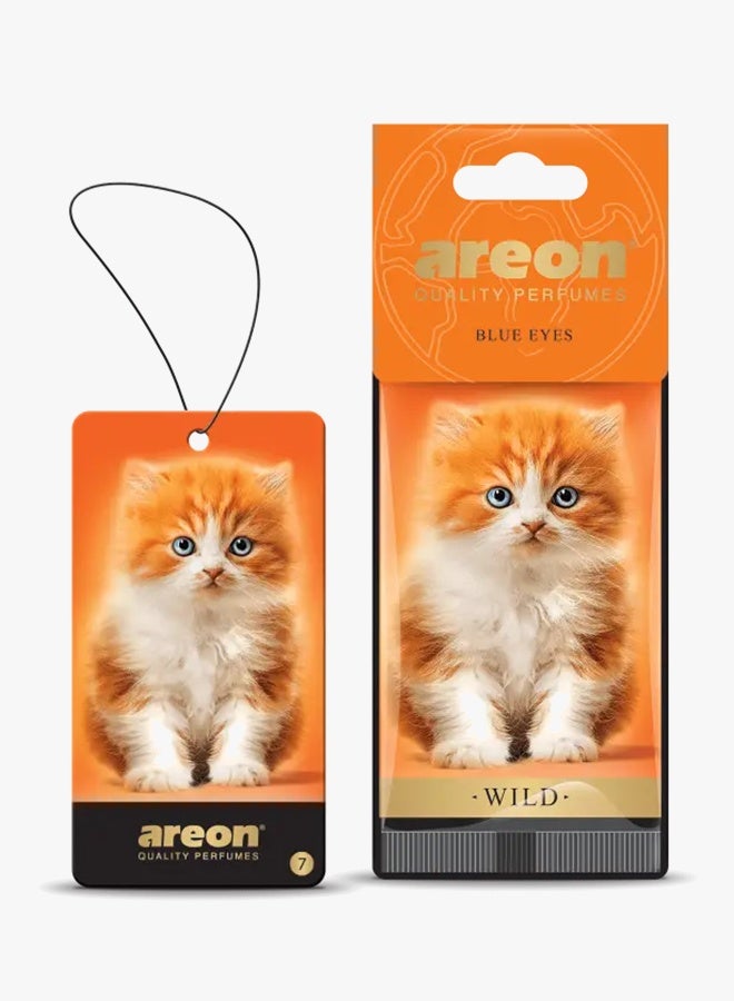 Areon Air Freshener Wild Blue Eyes - Image 1